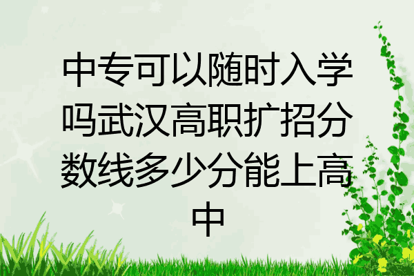 中专可以随时入学吗武汉高职扩招分数线多少分能上高中