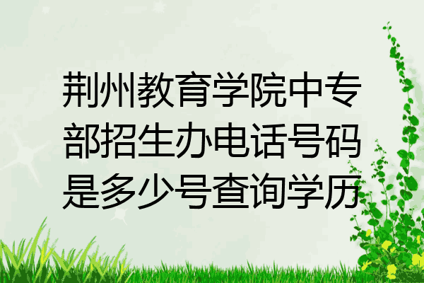 荆州教育学院中专部招生办电话号码是多少号查询学历