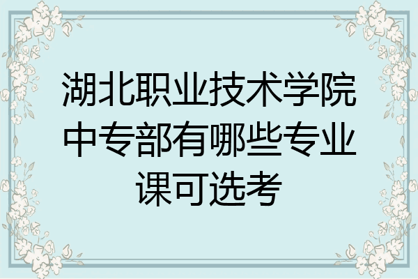 湖北职业技术学院中专部有哪些专业课可选考