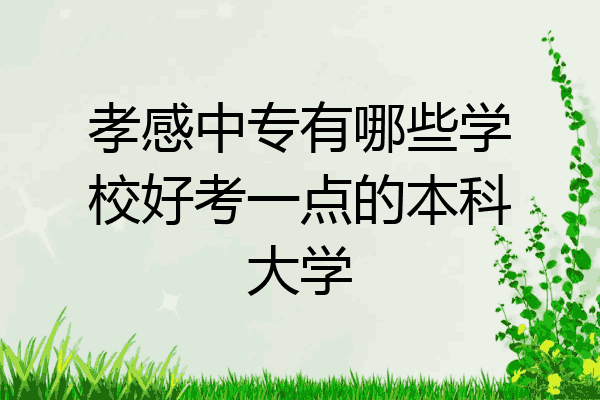 孝感中专有哪些学校好考一点的本科大学