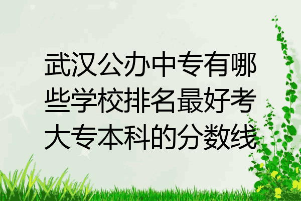 武汉公办中专有哪些学校排名最好考大专本科的分数线