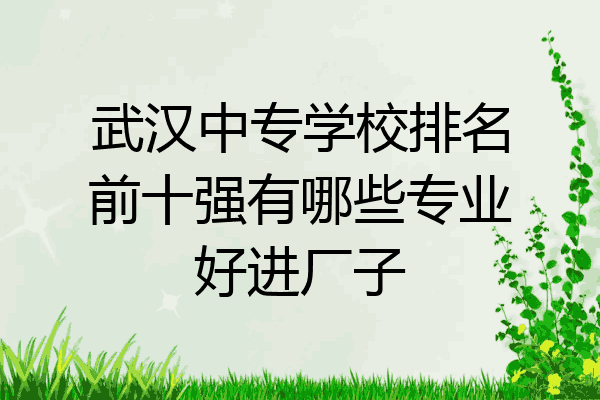 武汉中专学校排名前十强有哪些专业好进厂子