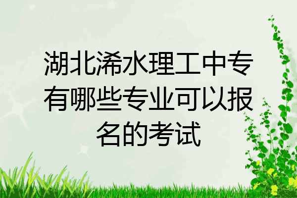 湖北浠水理工中专有哪些专业可以报名的考试