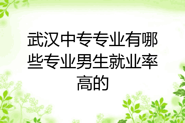 武汉中专专业有哪些专业男生就业率高的
