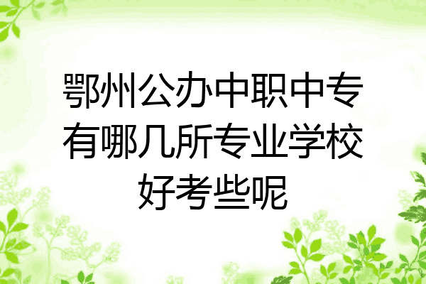 鄂州公办中职中专有哪几所专业学校好考些呢