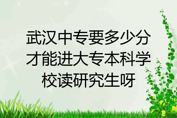 武汉中专要多少分才能进大专本科学校读研究生呀