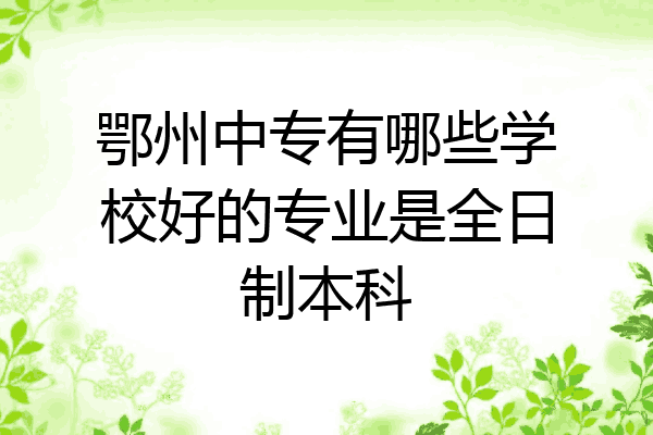 鄂州中专有哪些学校好的专业是全日制本科
