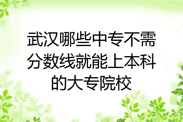 武汉哪些中专不需分数线就能上本科的大专院校