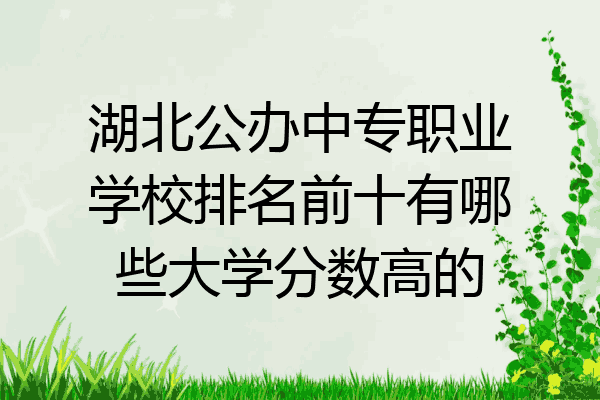 湖北公办中专职业学校排名前十有哪些大学分数高的