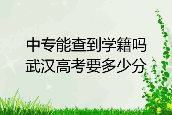 中专能查到学籍吗武汉高考要多少分