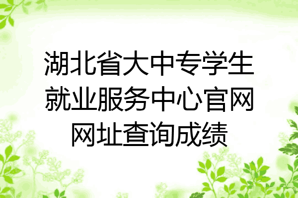 湖北省大中专学生就业服务中心官网网址查询成绩