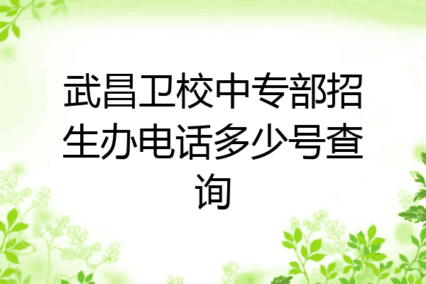 武昌卫校中专部招生办电话多少号查询