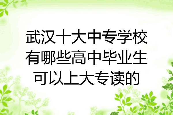 武汉十大中专学校有哪些高中毕业生可以上大专读的