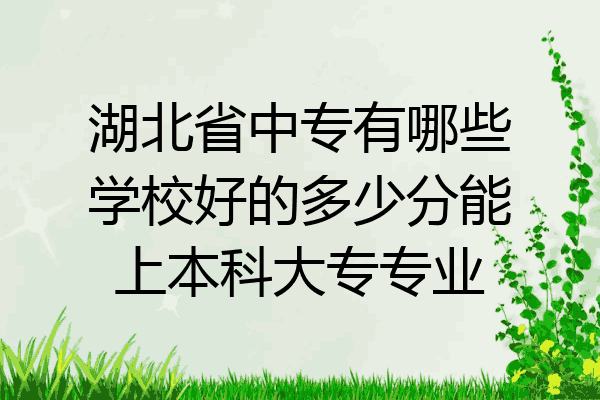 湖北省中专有哪些学校好的多少分能上本科大专专业
