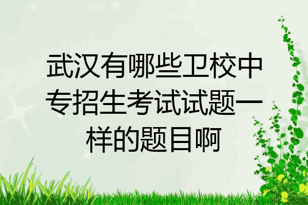 武汉有哪些卫校中专招生考试试题一样的题目啊