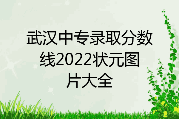 武汉中专录取分数线2022状元图片大全