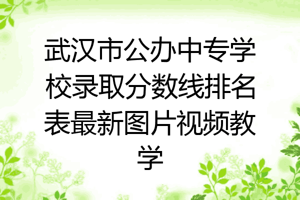 武汉市公办中专学校录取分数线排名表最新图片视频教学