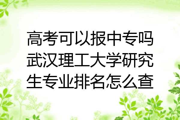 高考可以报中专吗武汉理工大学研究生专业排名怎么查