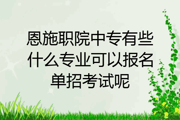 恩施职院中专有些什么专业可以报名单招考试呢
