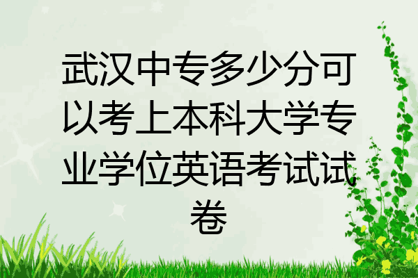 武汉中专多少分可以考上本科大学专业学位英语考试试卷