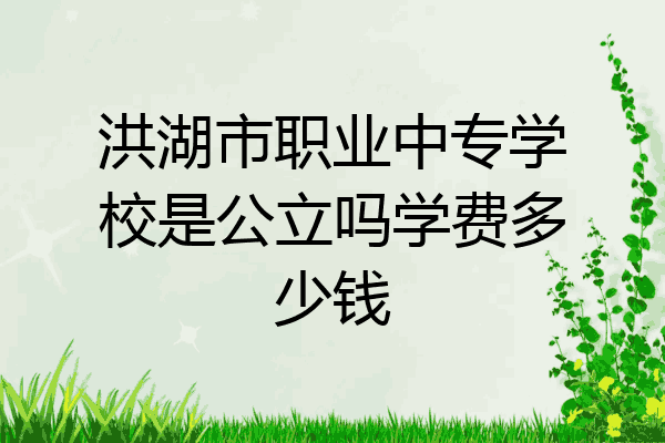洪湖市职业中专学校是公立吗学费多少钱