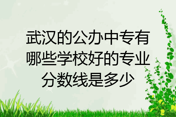武汉的公办中专有哪些学校好的专业分数线是多少