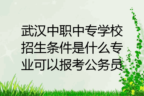 武汉中职中专学校招生条件是什么专业可以报考公务员
