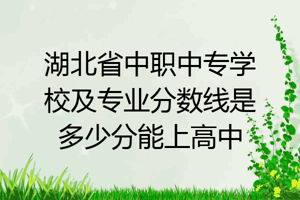 湖北省中职中专学校及专业分数线是多少分能上高中