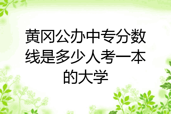 黄冈公办中专分数线是多少人考一本的大学