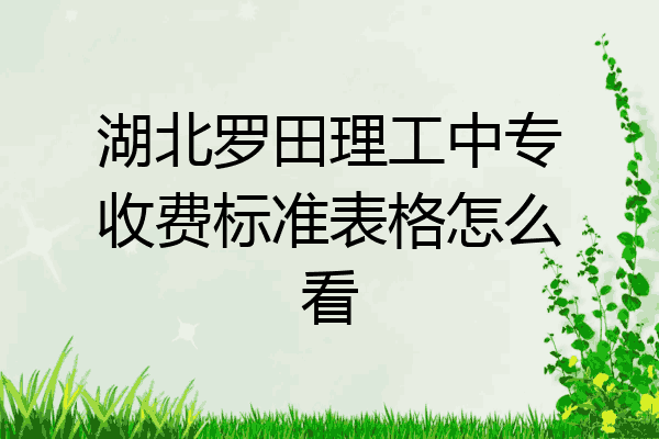 湖北罗田理工中专收费标准表格怎么看