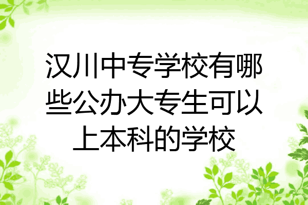 汉川中专学校有哪些公办大专生可以上本科的学校