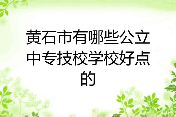 黄石市有哪些公立中专技校学校好点的