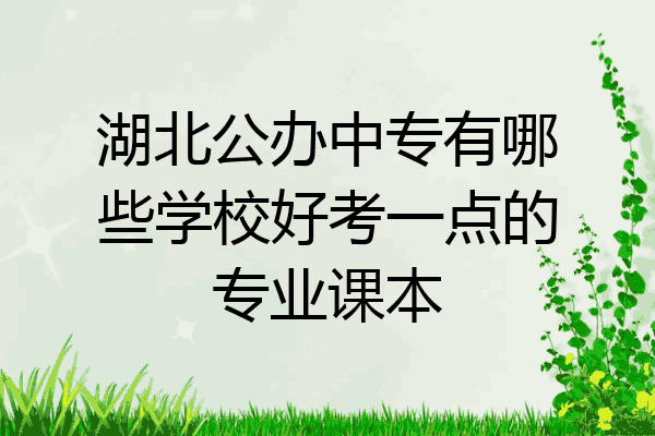 湖北公办中专有哪些学校好考一点的专业课本