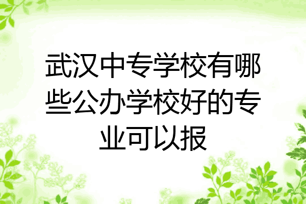 武汉中专学校有哪些公办学校好的专业可以报
