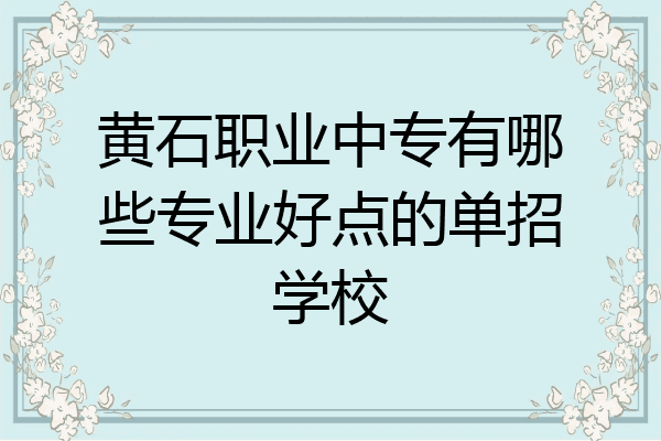 黄石职业中专有哪些专业好点的单招学校