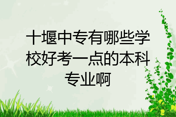 十堰中专有哪些学校好考一点的本科专业啊