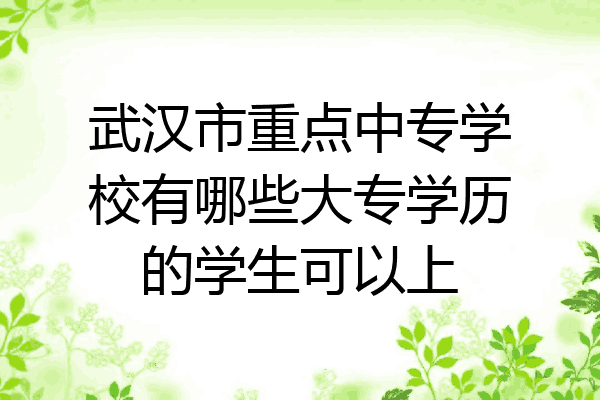 武汉市重点中专学校有哪些大专学历的学生可以上