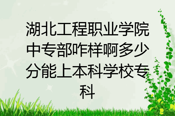 湖北工程职业学院中专部咋样啊多少分能上本科学校专科