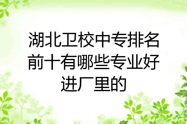 湖北卫校中专排名前十有哪些专业好进厂里的