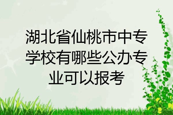 湖北省仙桃市中专学校有哪些公办专业可以报考