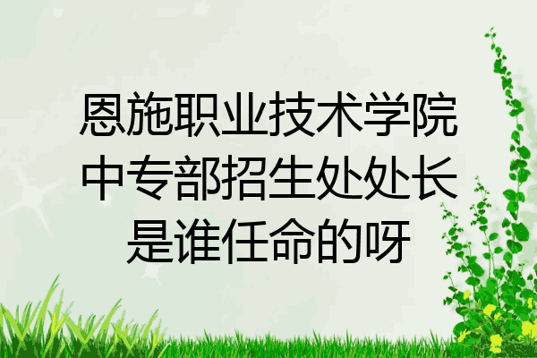 恩施职业技术学院中专部招生处处长是谁任命的呀