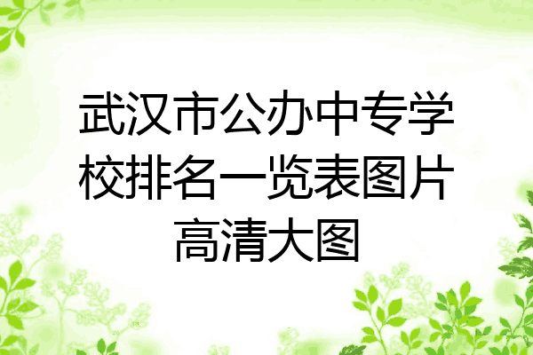 武汉市公办中专学校排名一览表图片高清大图