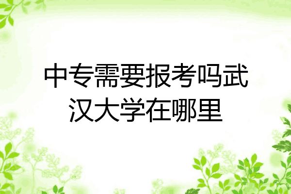 中专需要报考吗武汉大学在哪里