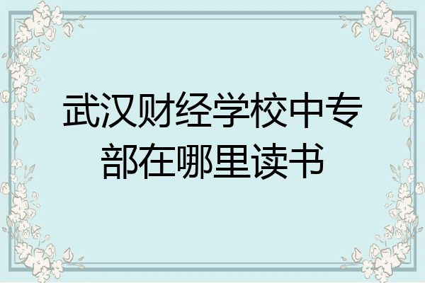 武汉财经学校中专部在哪里读书