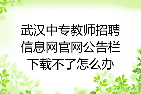武汉中专教师招聘信息网官网公告栏下载不了怎么办