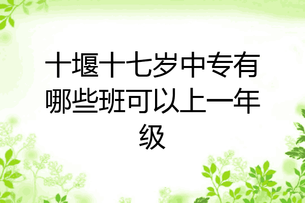 十堰十七岁中专有哪些班可以上一年级