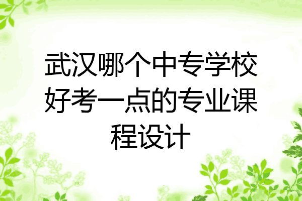 武汉哪个中专学校好考一点的专业课程设计