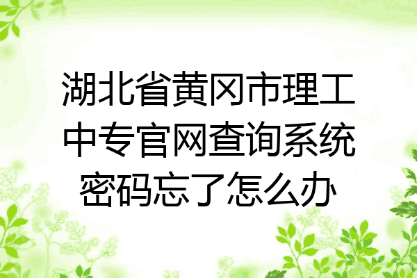 湖北省黄冈市理工中专官网查询系统密码忘了怎么办