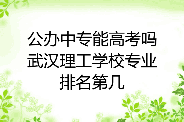 公办中专能高考吗武汉理工学校专业排名第几