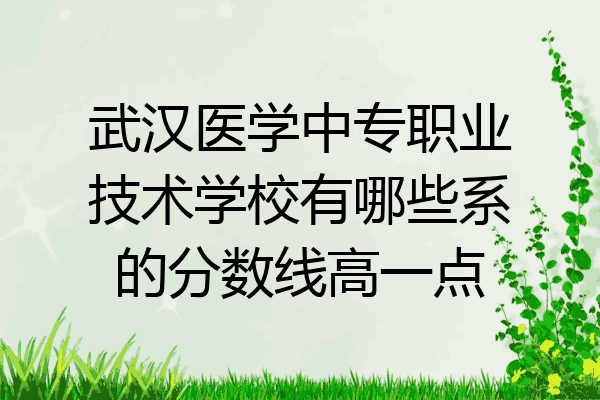 武汉医学中专职业技术学校有哪些系的分数线高一点